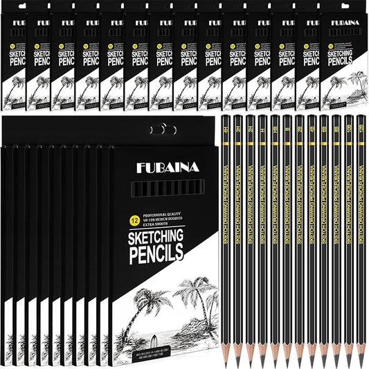 288 Pcs Drawing Sketching Pencil Set Professional (12b - 4h) Graphite Charcoal Gift Bulk for Artists Beginners, Pro Artists, Drawing Art, Sketching