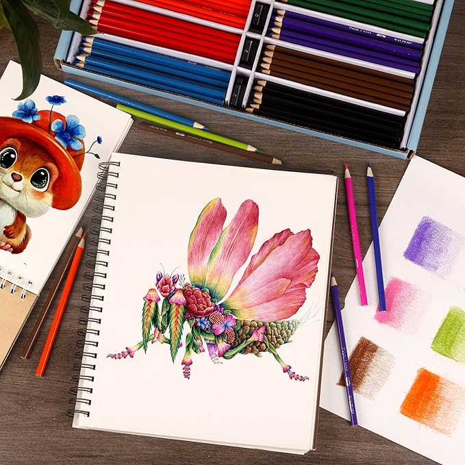 KALOUR Premium Colored Pencils Bulk,12 Assorted Vibrant Colors,240 Count Total,School Classroom Supplies For Kids Teachers,Pre-sharpened Artists Colored Pencils for Adult Coloring Book