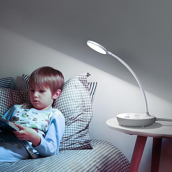 LED Desk Lamp with 2 USB Charging Ports and 2 AC Power Outlets - Adjustable Gooseneck Desk Light with 3 Level Brightness, Eye-Caring Small Table Lamp for Home Office, College Dorm Room Essentials