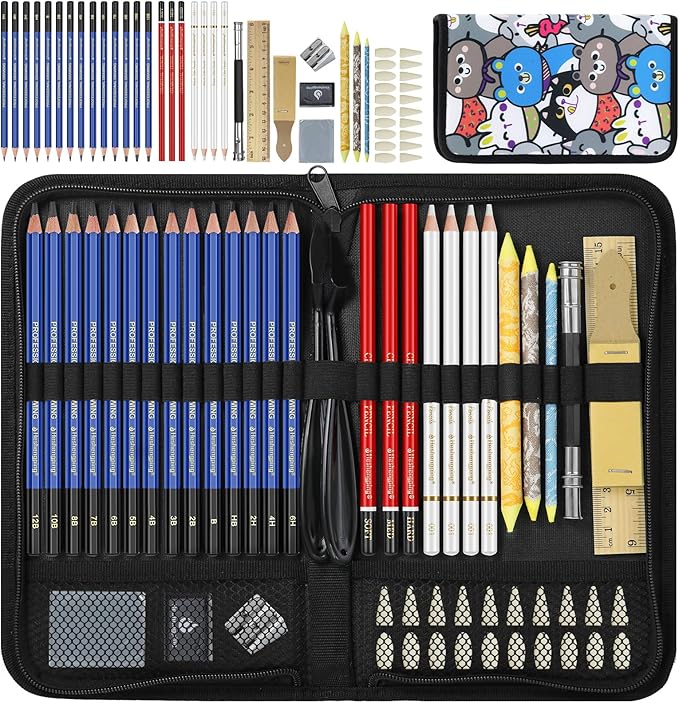 Daerthotk 53 PCS Drawing Kit Sketching Pencil Set, Sketch Pencils Art Supplies with Graphite, Charcoal, Blending Tools, Drawing Pencils for Artists Adults Beginner Family Friends
