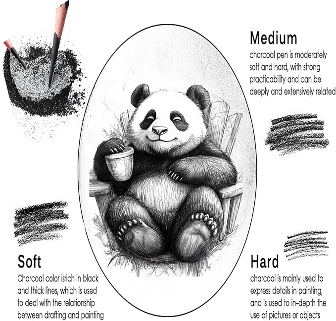 Charcoal Pencils Drawing Set, 12 Pieces Soft, Medium and Hard Black Sketch Charcoal Pencils for Drawing, Sketching, Shading, Blending, Artist Pencils for Beginners & Pro Artists