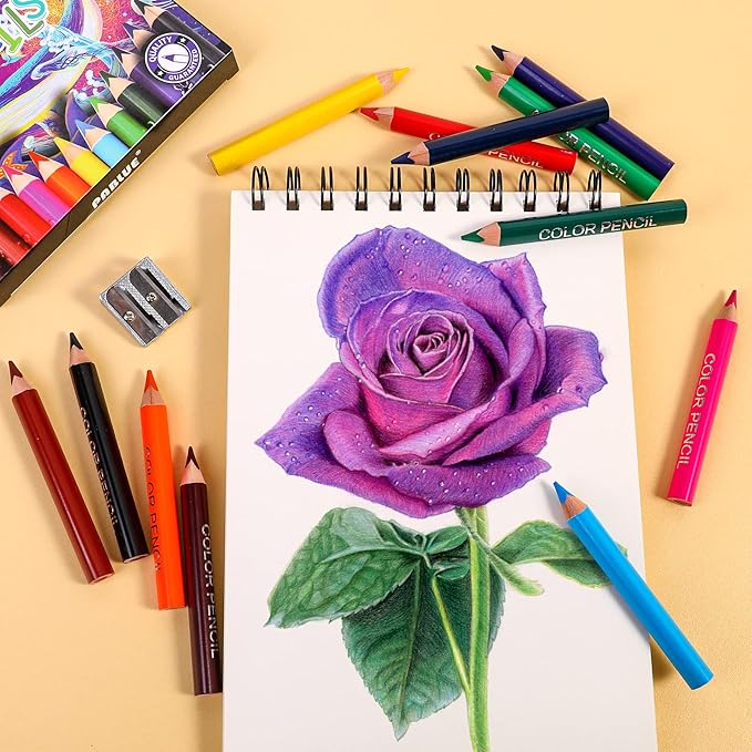 Triangular Jumbo Color Pencils, Short Fat Pre-Sharped Colored Pencils with Pencil Sharpener and Eraser,Gift for Student Drawing and Doodling（12 Colors）