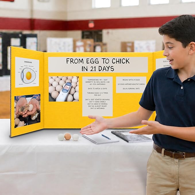 Flipside Products 18" x 48" Yellow Project Boards, Pack of 24, Trifold, Presentation Board, DIY Projects, Small Display, Science Fair, Classroom, Clubs, 4H, Graduation