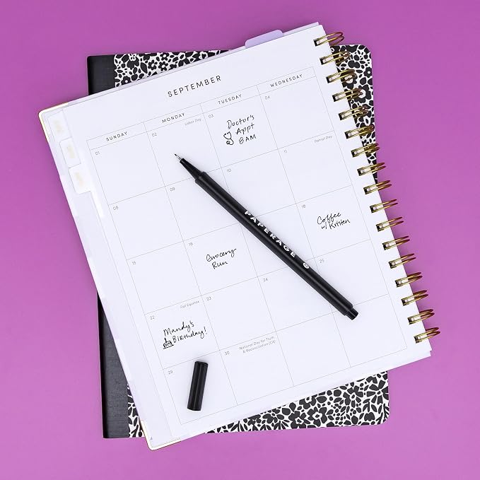 PAPERAGE Felt Tip Fine Point Pens (0.4mm), 12 Pack, Pens For Journaling, Notebooks, Planners, Calendars & Drawing, Great for School, Office, & Home (Black Ink)