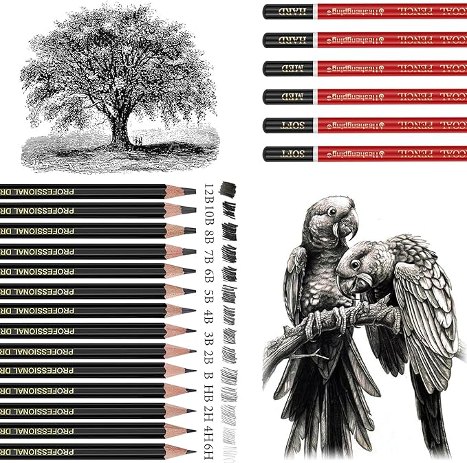 Heshengping Drawing Pencils Sketch Pencil Art Supplies Set for Adults beginners Professional Sketching Art Graphite Charcoal Blending Stump Pencils kit
