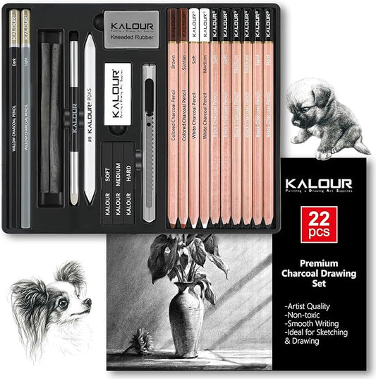 KALOUR PDAS 22pcs Charcoal Drawing Set, Professional Art Supplies, Black & White Charcoal Pencils for Drawing, Sketching, Shading, Blending, Artist Pencils for Beginners & Pro Artists
