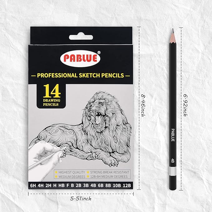 Professional Triangular Drawing Sketching Pencil Set,6H,4H,2H,H,HB,F,B,2B,3B,4B,6B,8B,10B,12B Graphite Shading Pencils Gift for Beginners,ProArtists,Drawing,Drafting,Sketching,Shading(14 Pcs)