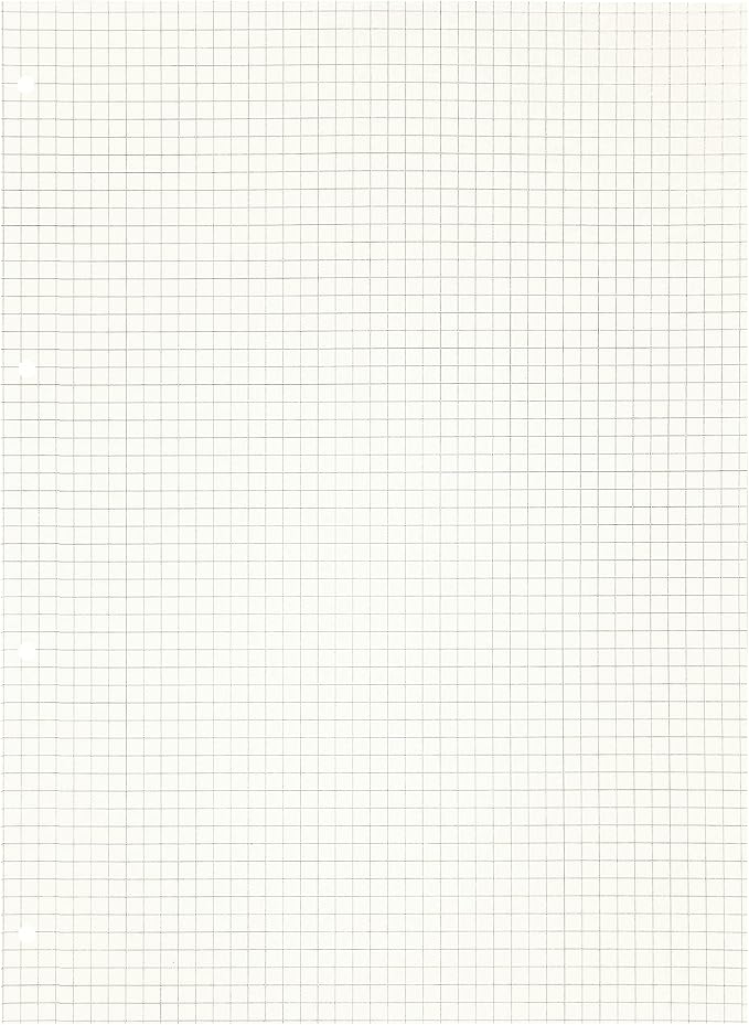 Zelten 2 Pack A4 90 Sheets/180 Pages Squared Loose Leaf Punched Paper Refills Paper for 4 Hole Binder Personal Organizer Diary Notebook Refillable Planner
