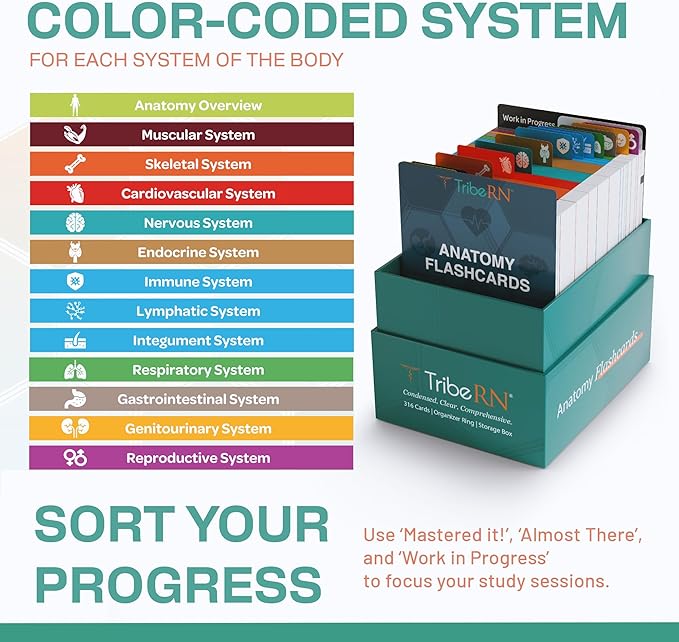 TribeRN Anatomy and Physiology Flash Cards – 320 Study Resources for Students – Human Anatomy & Physiology Study Tools – Medical, Nursing School Essentials – Durable & Easy to Use Flashcards