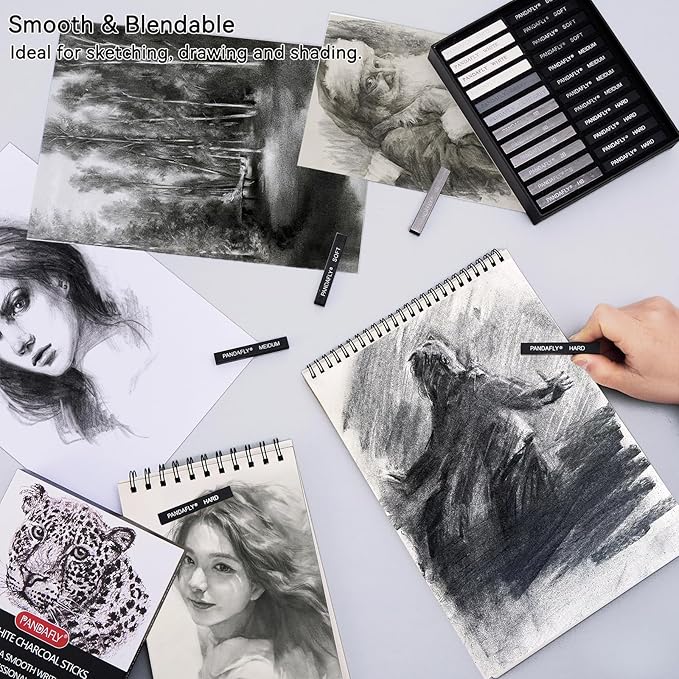 PANDAFLY Compressed Graphite Charcoal Sticks, 24 Pieces Black & White Vine Charcoal Sticks for Drawing, Sketching, Shading, Charcoal Drawing Set for Beginners & Pro Artists