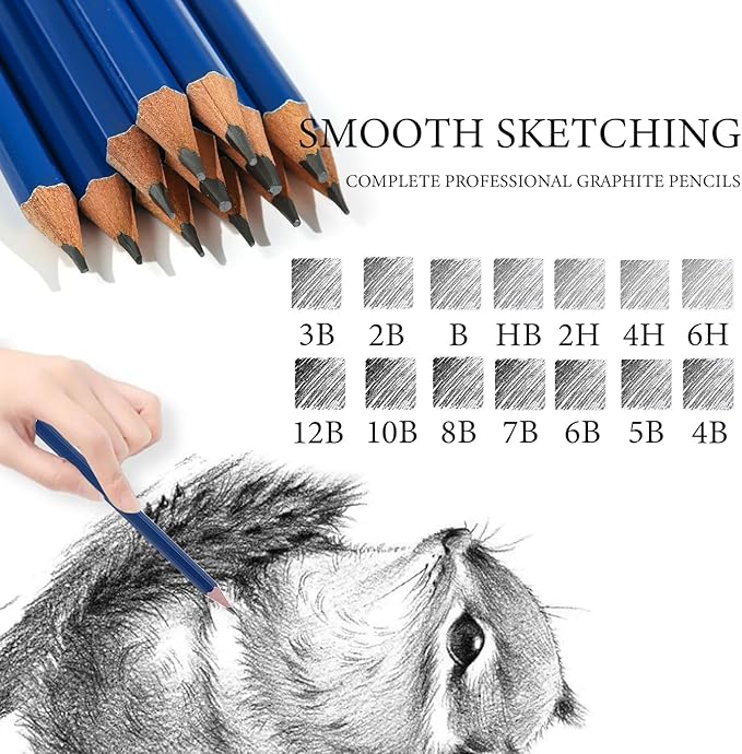 Pro Pencils Drawing Sketching Set 14 pcs Graphite (12B - 6H) Kit Soft Pencils Ideal Gift for Drawing Art, Sketching, Shading, Artist Pencils for Beginners Pro Artis