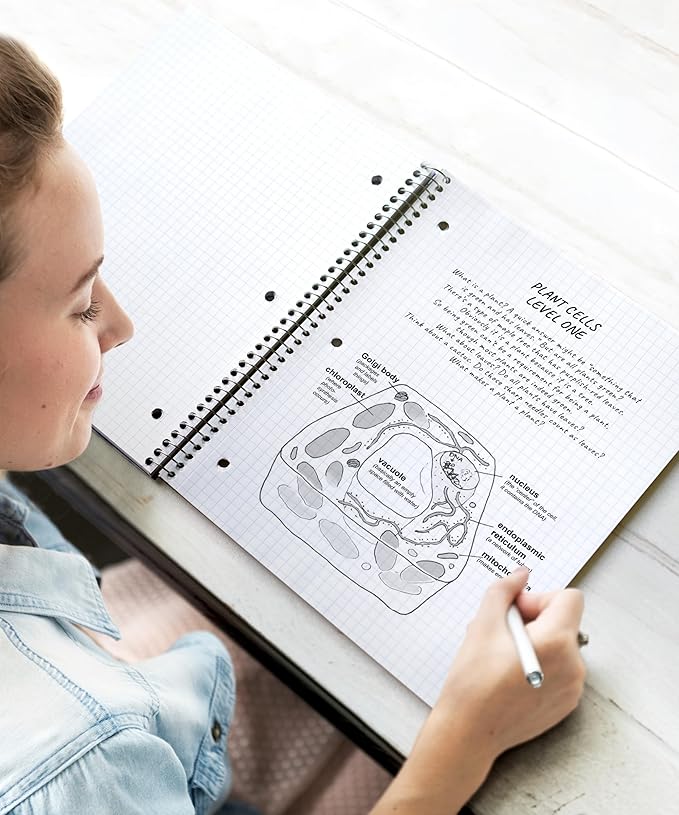 Dunwell Graph Paper Notebook 8.5 x 11, Plastic Cover, 80 Sheets, 4x4 Ruled, 1 Subject Spiral 1/4 Inch Grid Graphing Notebook, Divider with Pockets, Perforated Pages, 3-Hole Punched