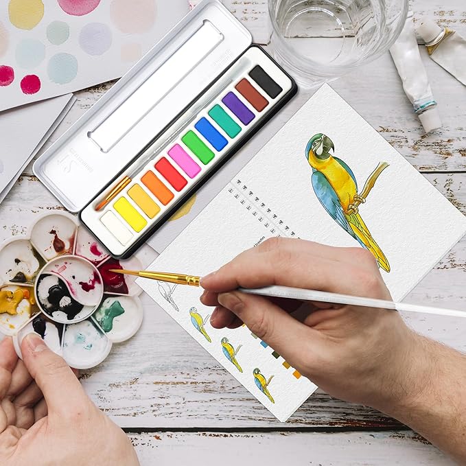 2-Pack Beginner Watercolor Workbooks: 24 Coloring Pages + 12 Watercolor Paints + Brush – 300gsm/140lb Paper – Gift for Women, Adults & Beginners (Birds & Flower)