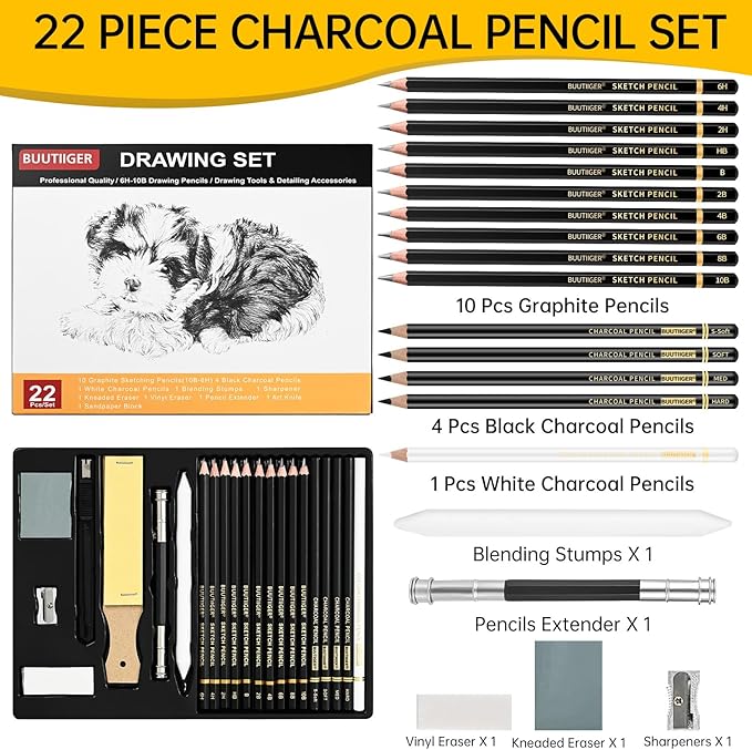 22-Piece Drawing kit Sketch Pencils Set - Graphite Pencils (6H-10B) Black and White Charcoal Pencil Charcoal Sticks - Drawing Pencil Kit for Artists Adults Teens Beginner, Ideal for Shading, Blending