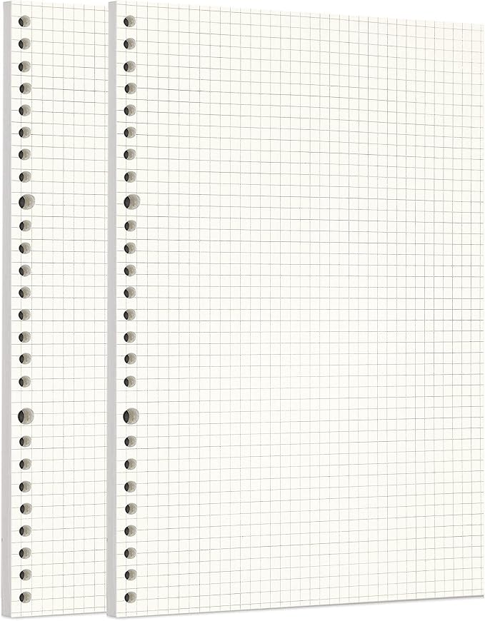Zelten 2 Pack B5 120 Sheets/240 Pages Squared Loose Leaf Punched Paper Refills Paper for 26 Hole Binder Personal Organizer Diary Notebook Refillable Planner