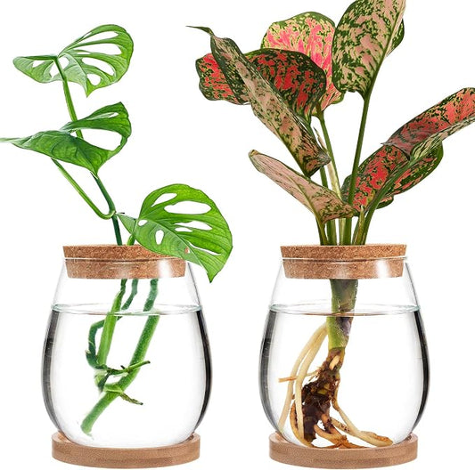 Plants Propagation Station, Gardening Gifts for Women Mom Plant Lovers | Biggun 2Pcs Desktop Plant Terrarium Glass Hydroponic Vases, Water Plant Jars (Water Drop Shape, Separated Tray Style)