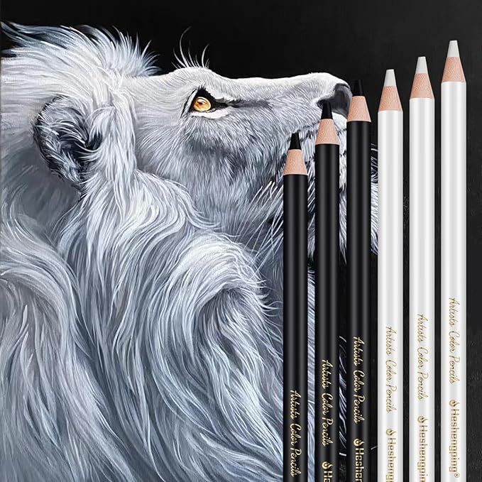 White and Black Color Pencils Drawing Set, 6 pcs White and 6 pcs Black Colored Sketching Pencils for Drawing, Sketching, Shading, Blending for Beginners & Artists