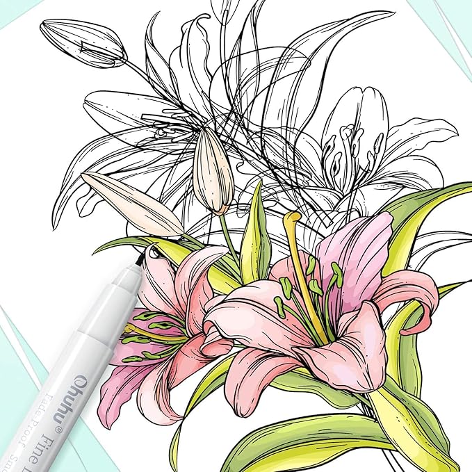 Ohuhu Fineliner Pens Micro Drawing Pens: 8-size Tips (Ultra-fine, Fine & Brush) Waterproof Pigment Black Ink for Illustration Drawing Journaling Sketching for Artist Beginners