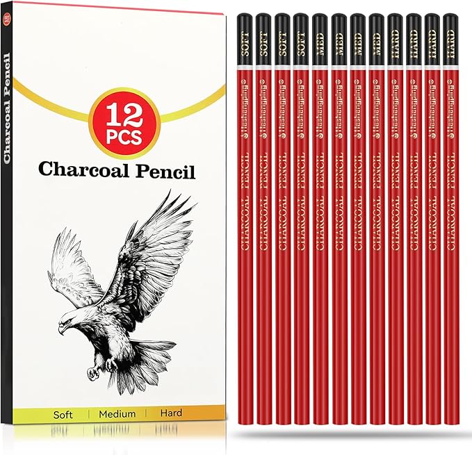 Charcoal Pencils Drawing Set, 12 Pieces Soft, Medium and Hard Black Sketch Charcoal Pencils for Drawing, Sketching, Shading, Blending, Artist Pencils for Beginners & Pro Artists