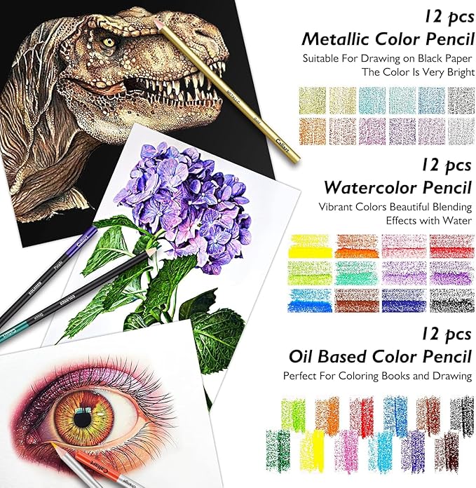 Caliart 176PCS Art Supplies Sketching Kit with 100 Sheets 3-Color Sketch Book, Graphite Colored Charcoal Watercolor & Metallic Pencils, Drawing Supplies Set Gifts for Artists Adults Beginners