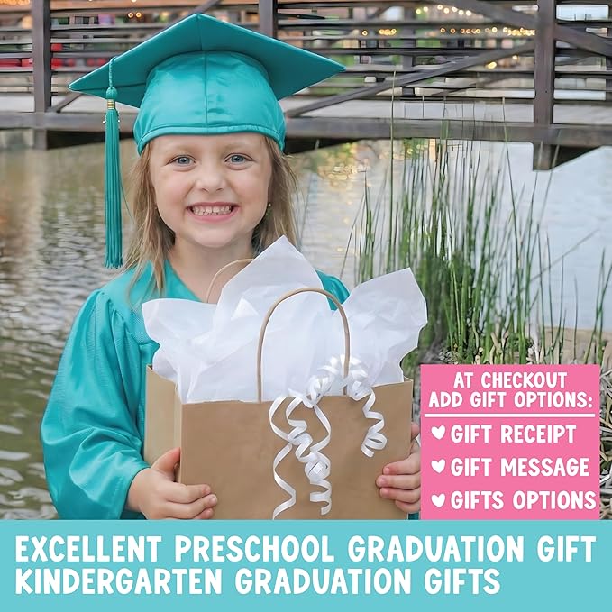 Hadley Designs 16 Educational Posters for Classroom Must Haves - Laminated Pre-K Posters for Toddler Homeschool Essentials, Toddler & Preschool Learning Activities, Kindergarten Classroom Decor