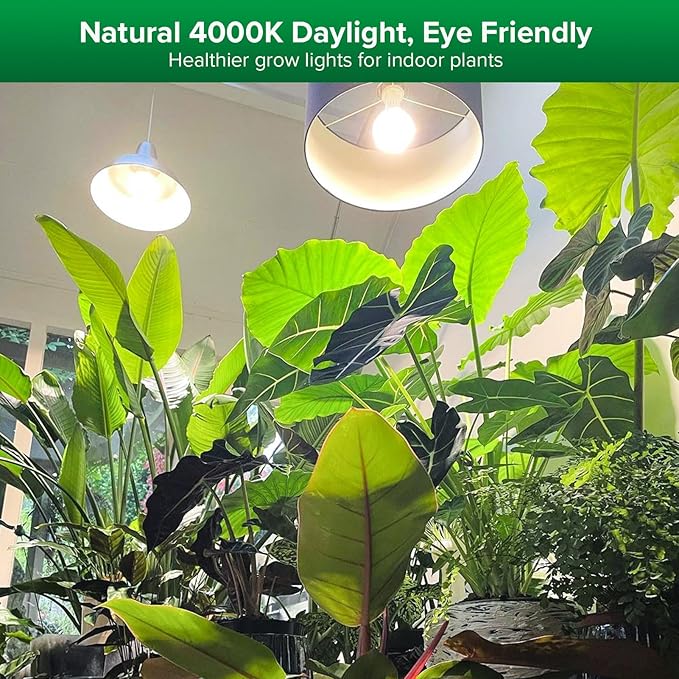 SANSI Grow Lights for Indoor Plants, 15W Full Spectrum A19 Grow Light Bulb | 200 Watt Equivalent Plant Light Bulb, 4000K Natural Daylight Full Spectrum, Optical Lens for High PPFD, ETL Listed
