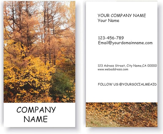 500 pcs Full Color Custom 2 Sides Printed Business Card Custom with Your Logo Two-Sided Design,Personalized Name Card, 3.5" x 2"Business Card No Additional Charge
