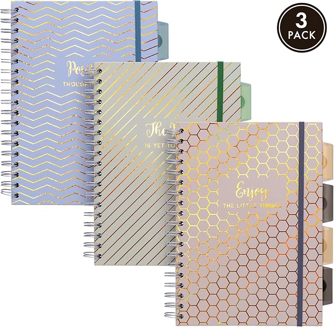 Pukka Pad Haze B5 Notebook – Pack of 3 Wirebound Notebooks with 5 Repositionable Dividers with Storage Pockets and Tabs for Organisation and Personalisation – 200 Pages, 100 Sheets of 80GSM Paper