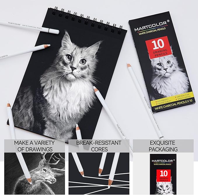 MARTCOLOR Professional White Charcoal Pencils Set, 10 Pieces Sketch Highlight Charcoal Pencils for Drawing, Sketching, Shading, Blending, White Chalk Pencils for Beginners & Artists