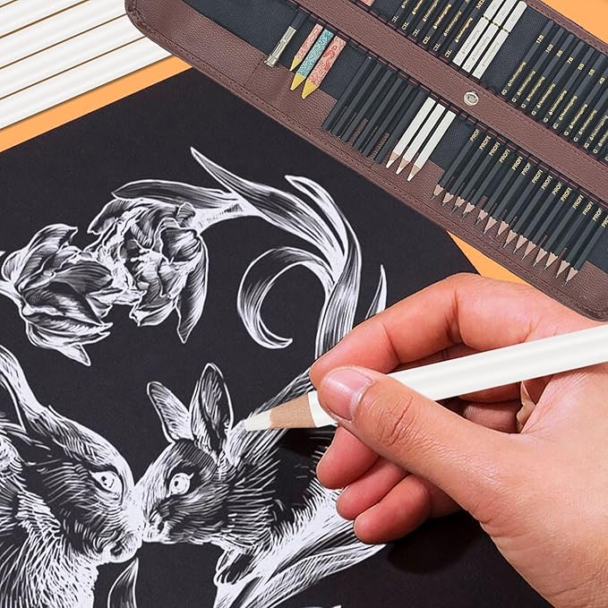 Heshengping 31 Drawing Sketching Pencils Kit, Portable Artist Supples Travel Case Set has Graphite, Charcoal, white color pencil, Blending Stump, gift for Adults Beginners for Drawing Sketch