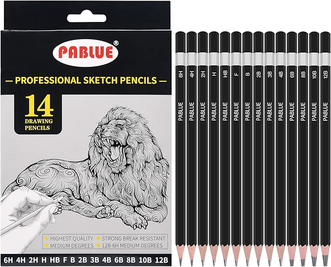 Professional Triangular Drawing Sketching Pencil Set,6H,4H,2H,H,HB,F,B,2B,3B,4B,6B,8B,10B,12B Graphite Shading Pencils Gift for Beginners,ProArtists,Drawing,Drafting,Sketching,Shading(14 Pcs)