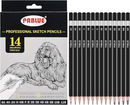 Professional Triangular Drawing Sketching Pencil Set,6H,4H,2H,H,HB,F,B,2B,3B,4B,6B,8B,10B,12B Graphite Shading Pencils Gift for Beginners,ProArtists,Drawing,Drafting,Sketching,Shading(14 Pcs)