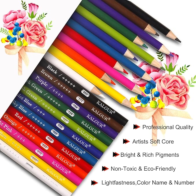 KALOUR Premium Colored Pencils Bulk,12 Assorted Vibrant Colors,240 Count Total,School Classroom Supplies For Kids Teachers,Pre-sharpened Artists Colored Pencils for Adult Coloring Book