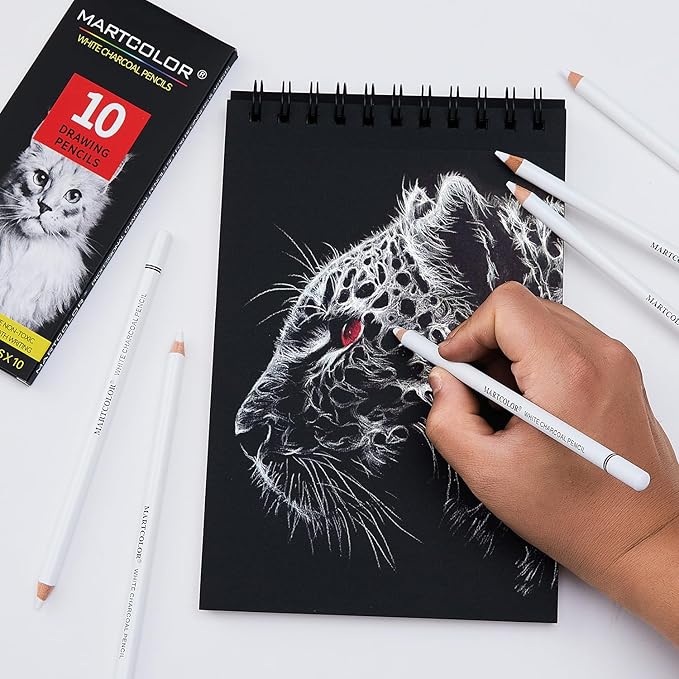 MARTCOLOR Professional White Charcoal Pencils Set, 10 Pieces Sketch Highlight Charcoal Pencils for Drawing, Sketching, Shading, Blending, White Chalk Pencils for Beginners & Artists