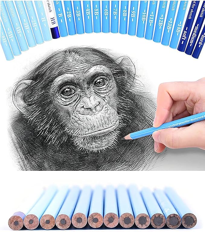 YYMIYU 24 Drawing Pencils Set, Art Sketching Pencils Charcoal Set 14B,12B,11B,10B,9B,8B,7B,6B,5B,4B,3B,2B,B,HB,H,2H,3H,4H,5H,6H,& Soft Neutral Hard Charcoal Pencils