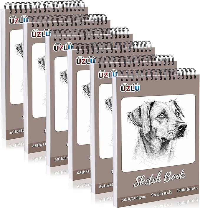 6 Pcs Sketchbook Bulk 9 x 12 In 600 Sheets Top Spiral Bound Sketch Pad Drawing Paper 100 Sheets Each Acid Free Mixed Media Sketch Book 68lb/100gsm Art Supplies for Beginner Artist