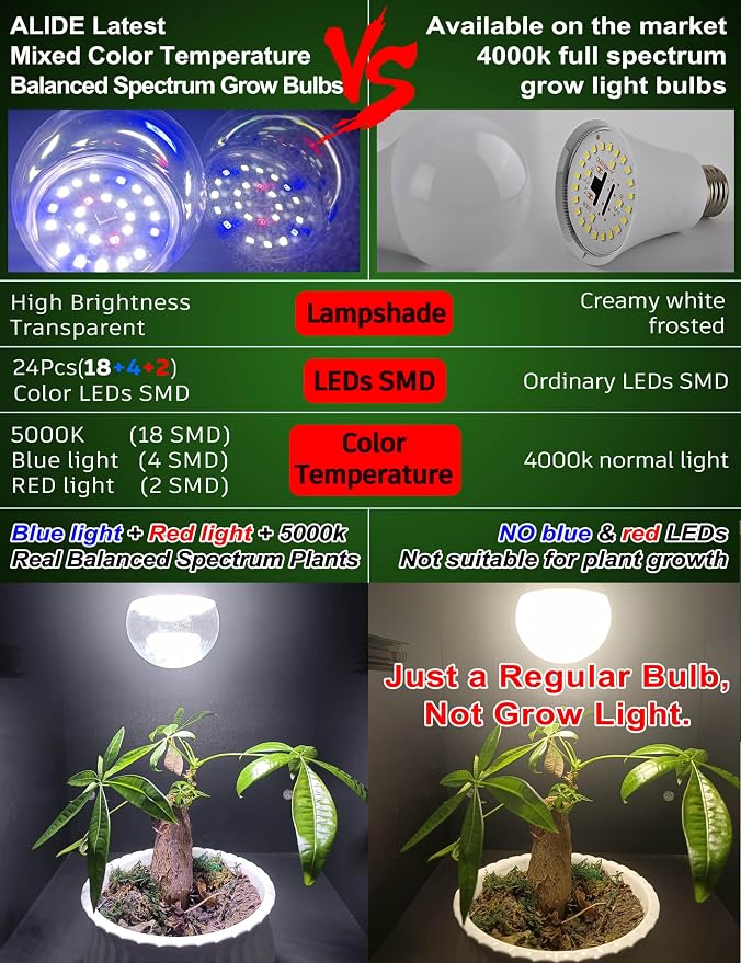 Full Spectrum Grow Light Bulbs for Indoor Plants E12 Candelabra Base | Grow LED Light Bulb 10W with Balanced Spectrum 5000K Blue Red for Seeds Greens Laboratory,School,Greenhouse Garden,6Pcs