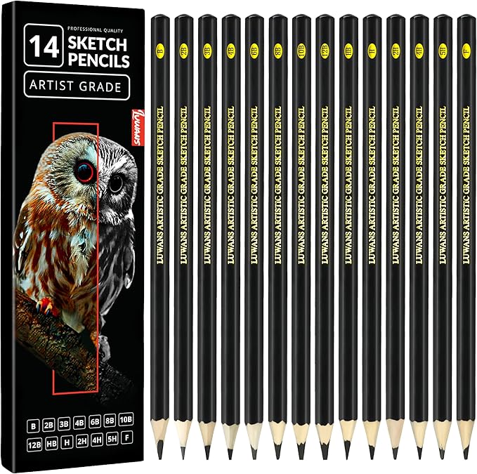 Drawing Pencils Set of 14 (B - 12B) Sketching Pencils for Drawing, Shading & Doodling | Professional Sketch Pencils Graphite Grades for Artists & Beginners