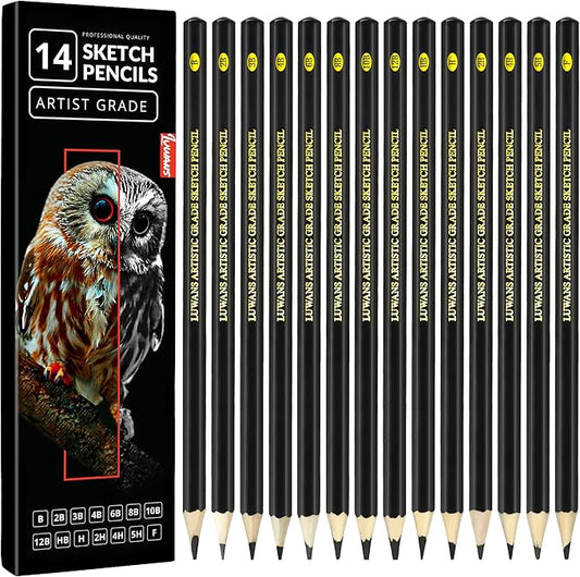 Drawing Pencils Set of 14 (B - 12B) Sketching Pencils for Drawing, Shading & Doodling | Professional Sketch Pencils Graphite Grades for Artists & Beginners