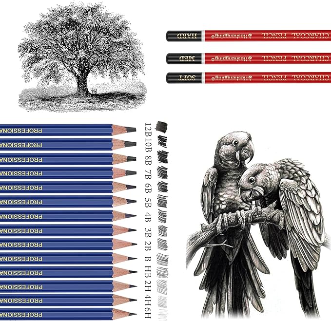 Drawing Sketching Pencil Set, 26 pcs Draw Supplies Kit, 14 Graphite (12B -6H), Charcoal Erasers Sharpener Extender, Ideal for Drawing Art, Sketching, Shading, Artist Pencils for Beginners Pro Artists