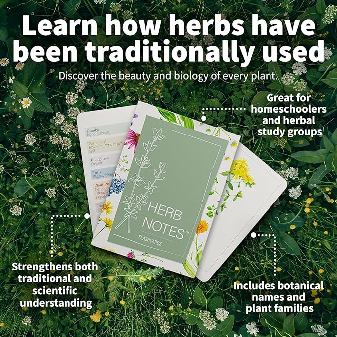 Herb Notes Flash Cards – Educational Plant Learning Cards with Botanical Illustrations – 48-Card Set for Plant Identification, Nature Study & Classroom Learning
