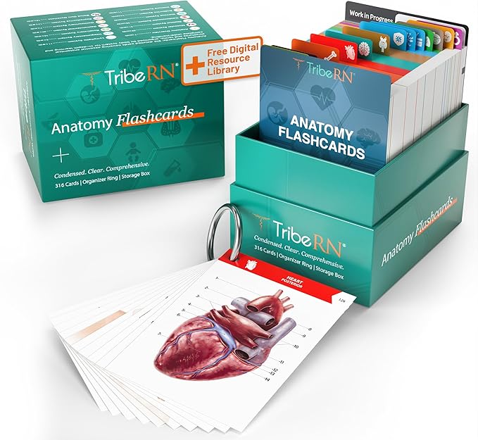 TribeRN Anatomy and Physiology Flash Cards – 320 Study Resources for Students – Human Anatomy & Physiology Study Tools – Medical, Nursing School Essentials – Durable & Easy to Use Flashcards