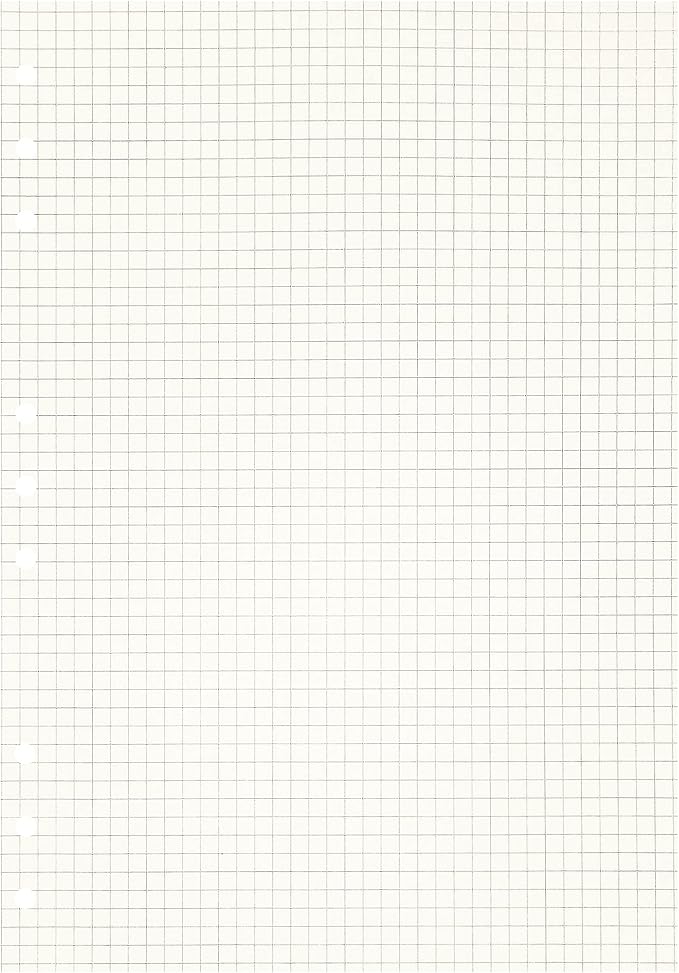 Zelten 2 Pack B5 90 Sheets/180 Pages Squared Loose Leaf Punched Paper Refills Paper for 9 Hole Binder Personal Organizer Diary Notebook Refillable Planner