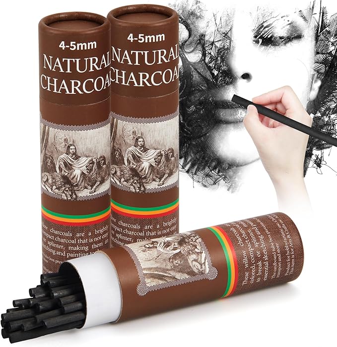 Gueevin 50 Pcs Willow Charcoal Sticks, Willow Charcoal, Artists, Beginners, Students, Perfect for Sketching, Drawing, Shading, and Fine Art Christmas Gifts for Art (4-5mm)
