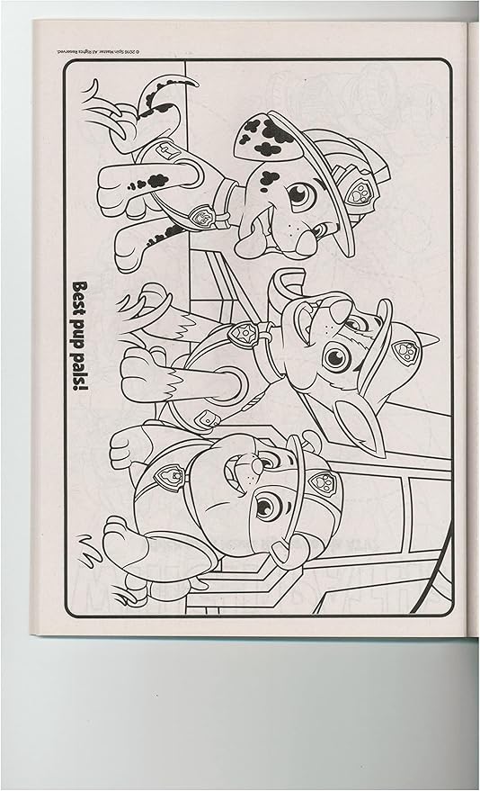 Paw Patrol Coloring Books - 2 Pack
