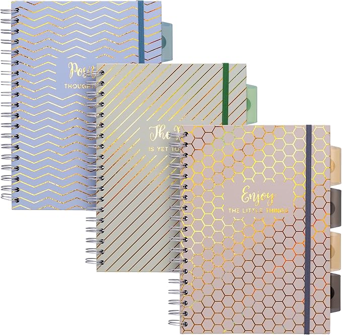 Pukka Pad Haze B5 Notebook – Pack of 3 Wirebound Notebooks with 5 Repositionable Dividers with Storage Pockets and Tabs for Organisation and Personalisation – 200 Pages, 100 Sheets of 80GSM Paper