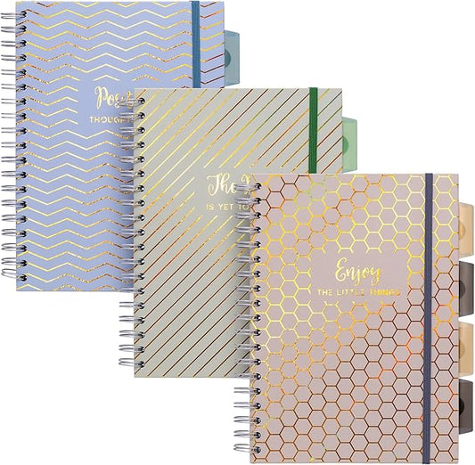Pukka Pad Haze B5 Notebook – Pack of 3 Wirebound Notebooks with 5 Repositionable Dividers with Storage Pockets and Tabs for Organisation and Personalisation – 200 Pages, 100 Sheets of 80GSM Paper