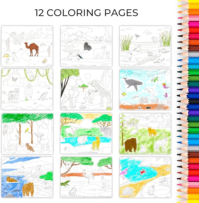 ZICOTO Fun Sticker Book for Toddlers 2-4 Years - Perfect Kids Activity Book with Beautiful Stickers & 12 Themes for Entertaining Girls & Boys 4-8 While Traveling - Incl. Animal and Coloring Pages