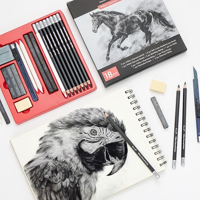 Brusarth Charcoal Pencils for Drawing, 18 Pcs Art Pencil Kit, Professional Sketching Pencil, Art Supplies for Drawing, Shading, Sketching, Blending, Artist Pencils for Beginners & Artists