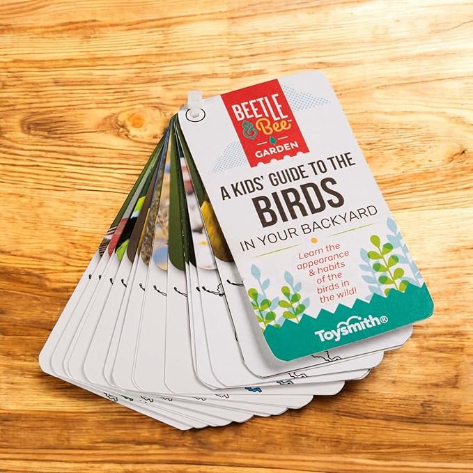 Little Birder Bird Watching Set for Kids, Outdoor Explorer Kit with 4x30 Binoculars, STEM Nature Toy for Backyard Travel Activities Ages 5+ - Beetle & Bee